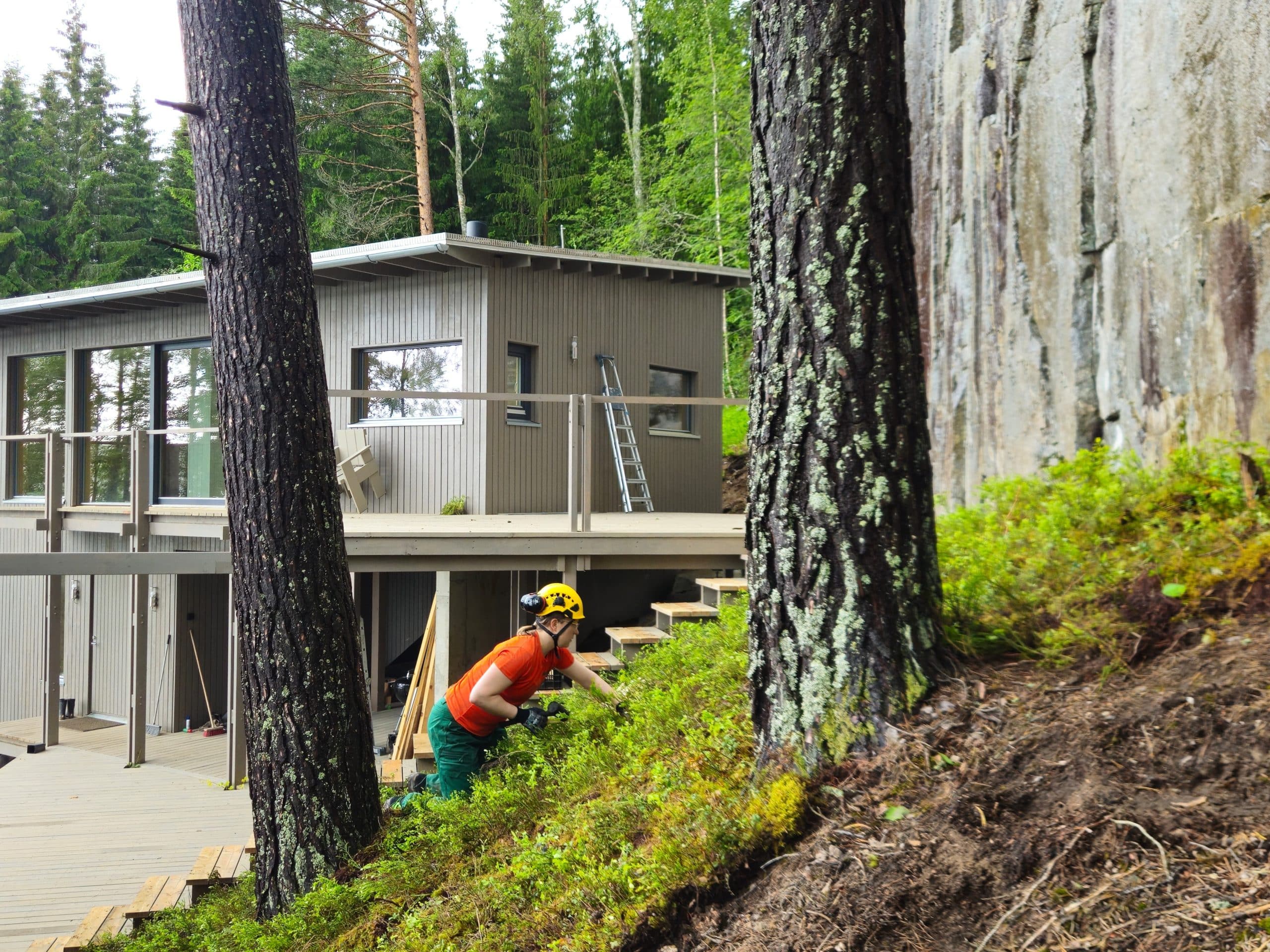 Så lägger du skogsmatta på en sluttning