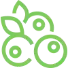 imgi_15_Icon_1.png