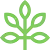imgi_16_Icon_2.png
